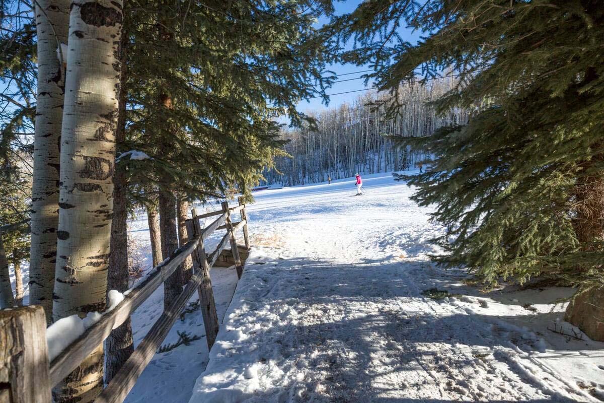 Ski Access