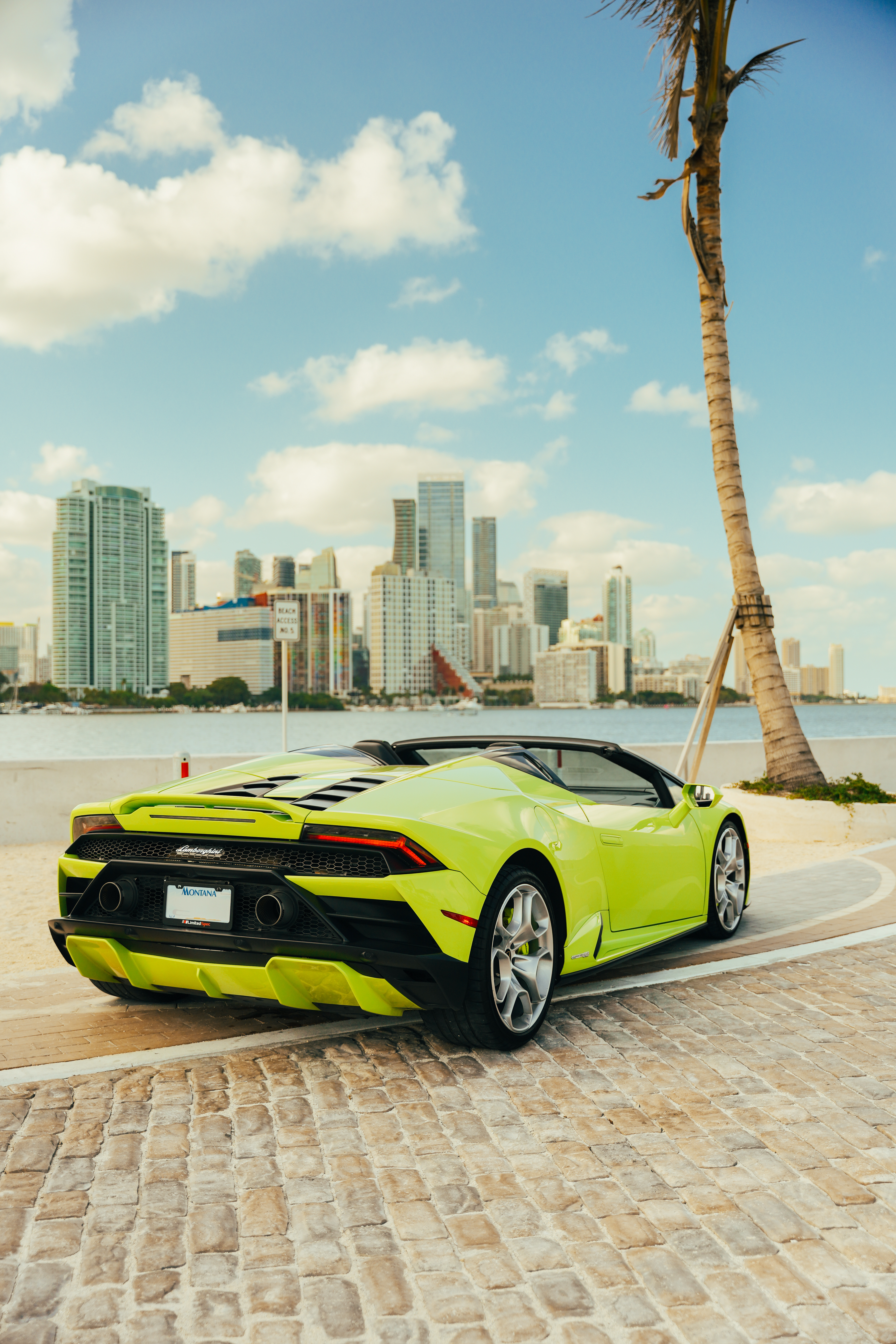 Lamborghini Evo Spyder Green