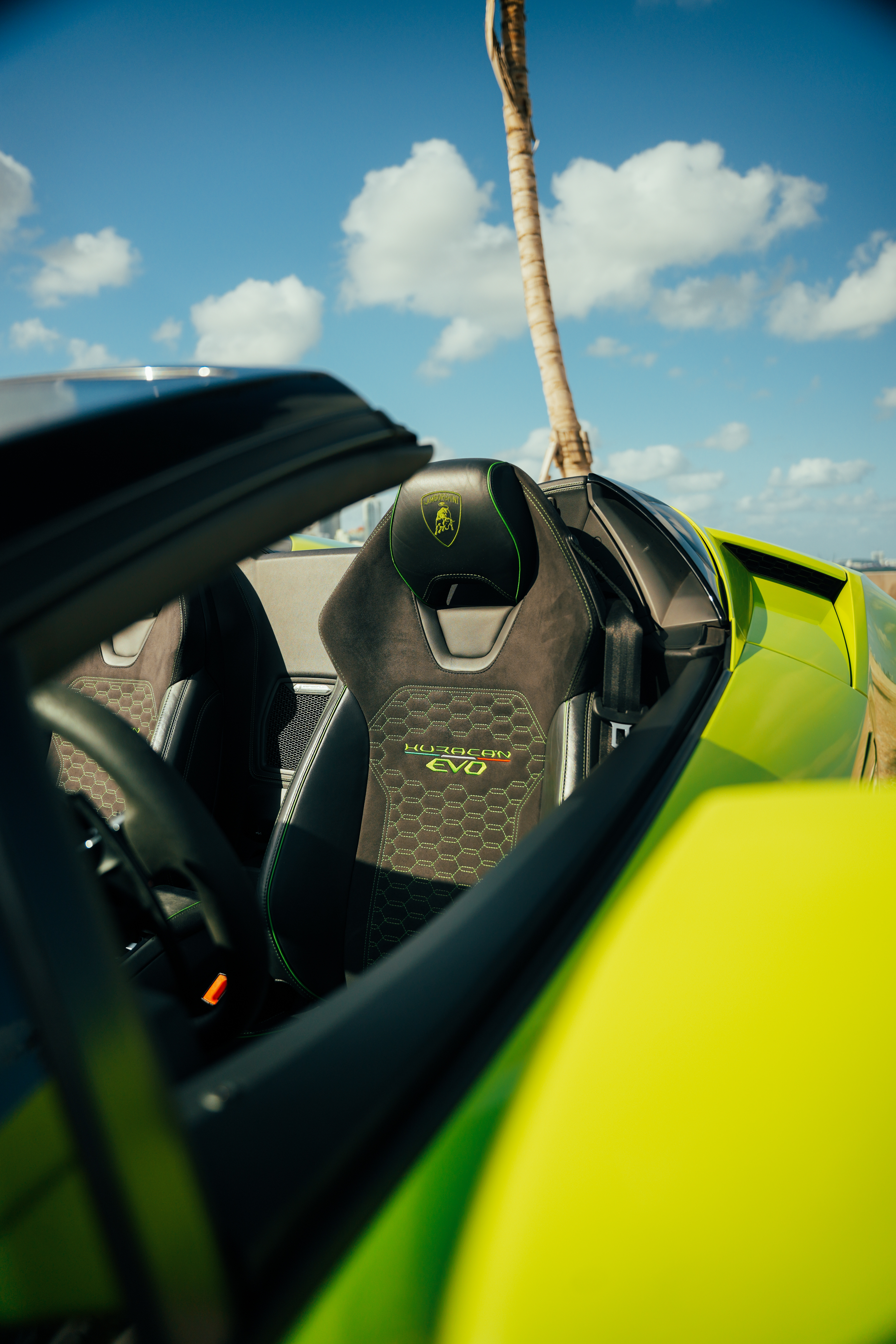 Lamborghini Evo Spyder Green