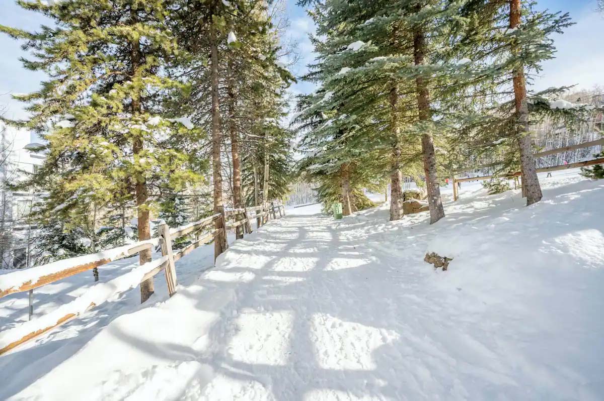 Ski Access