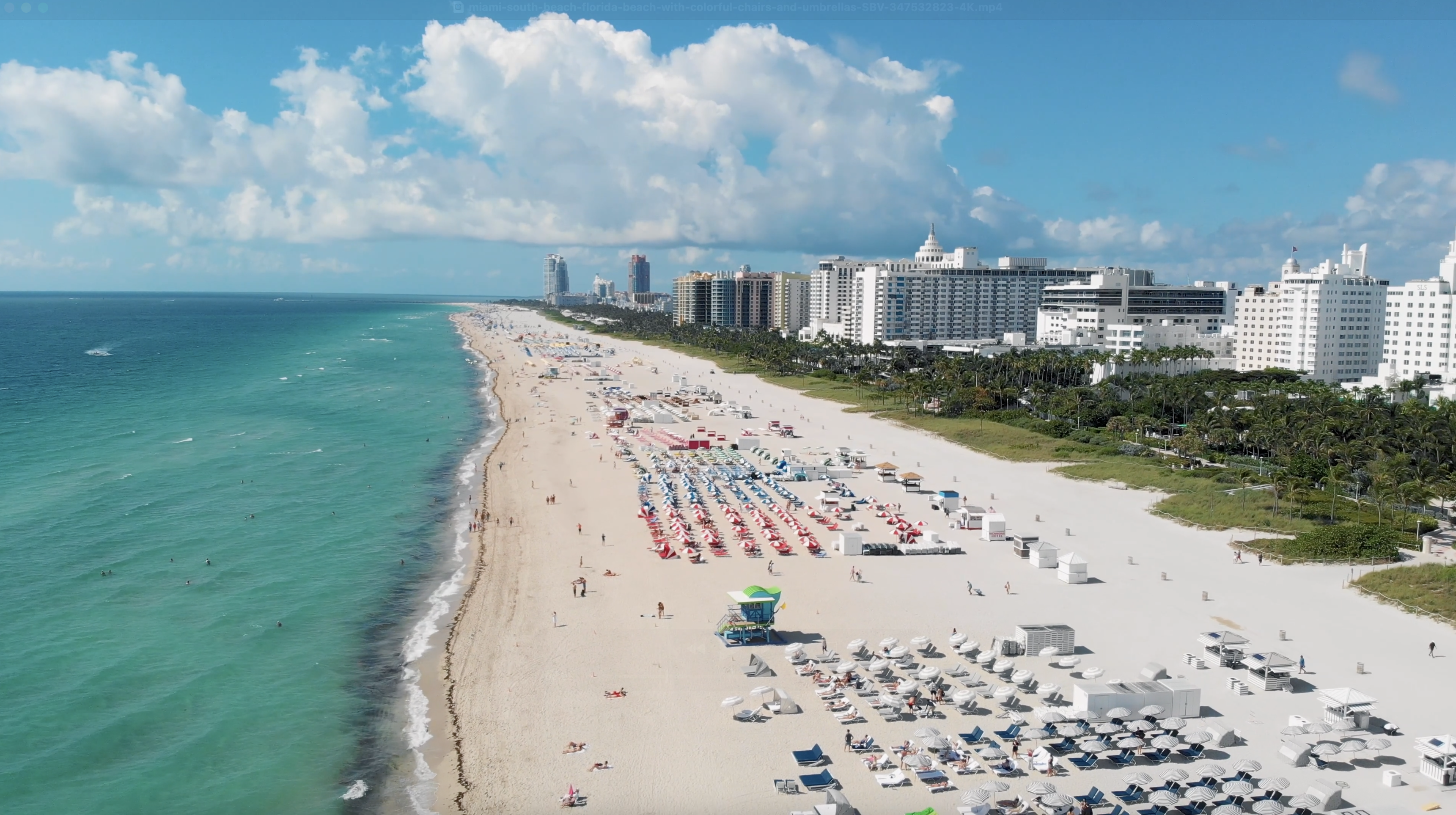 Miami.png