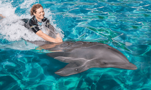 miamiseaquarium_com_90c23757b3.png