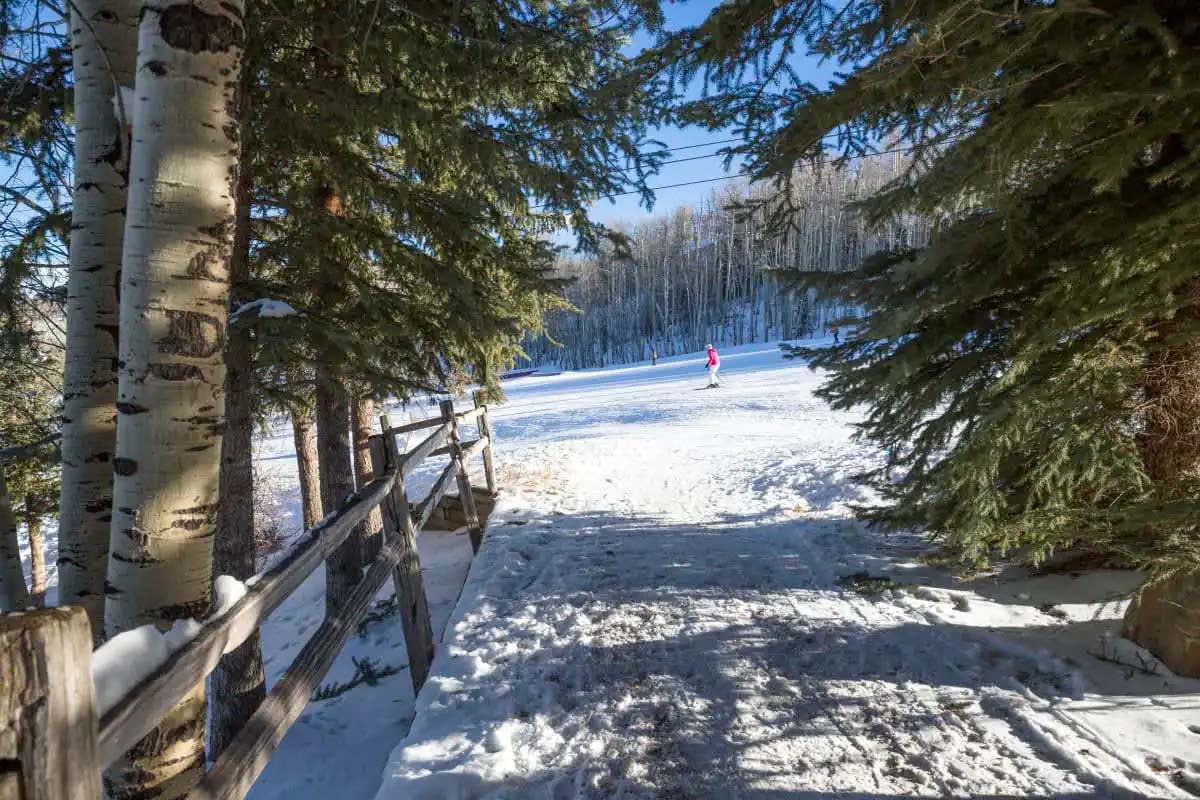 Ski Access